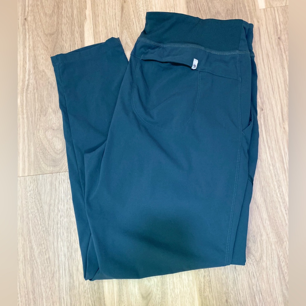Womens Mountain Hardwear Dynama Ankle Pant Sz L